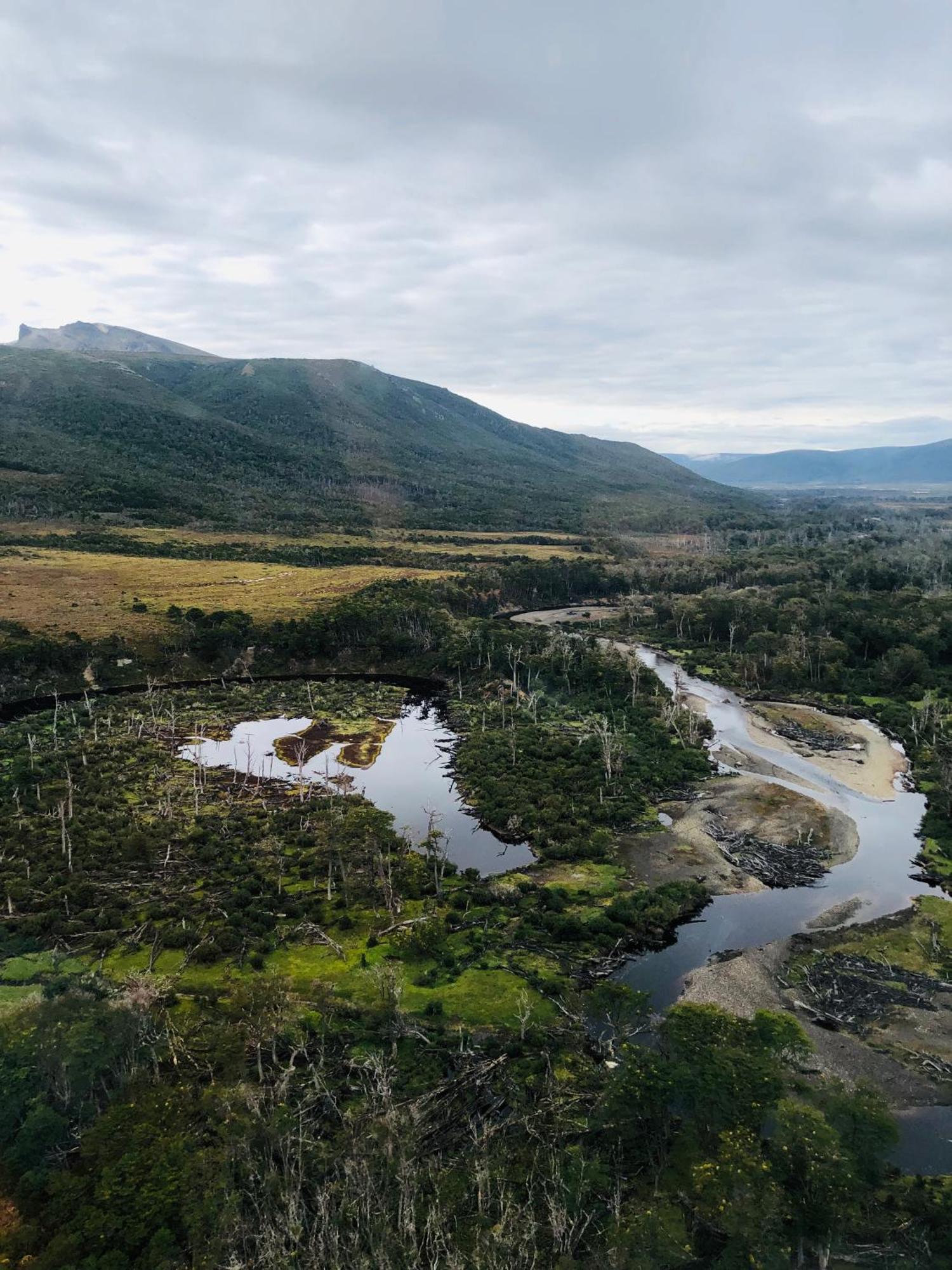 Mirando Al Canal Ushuaia Eksteriør bilde